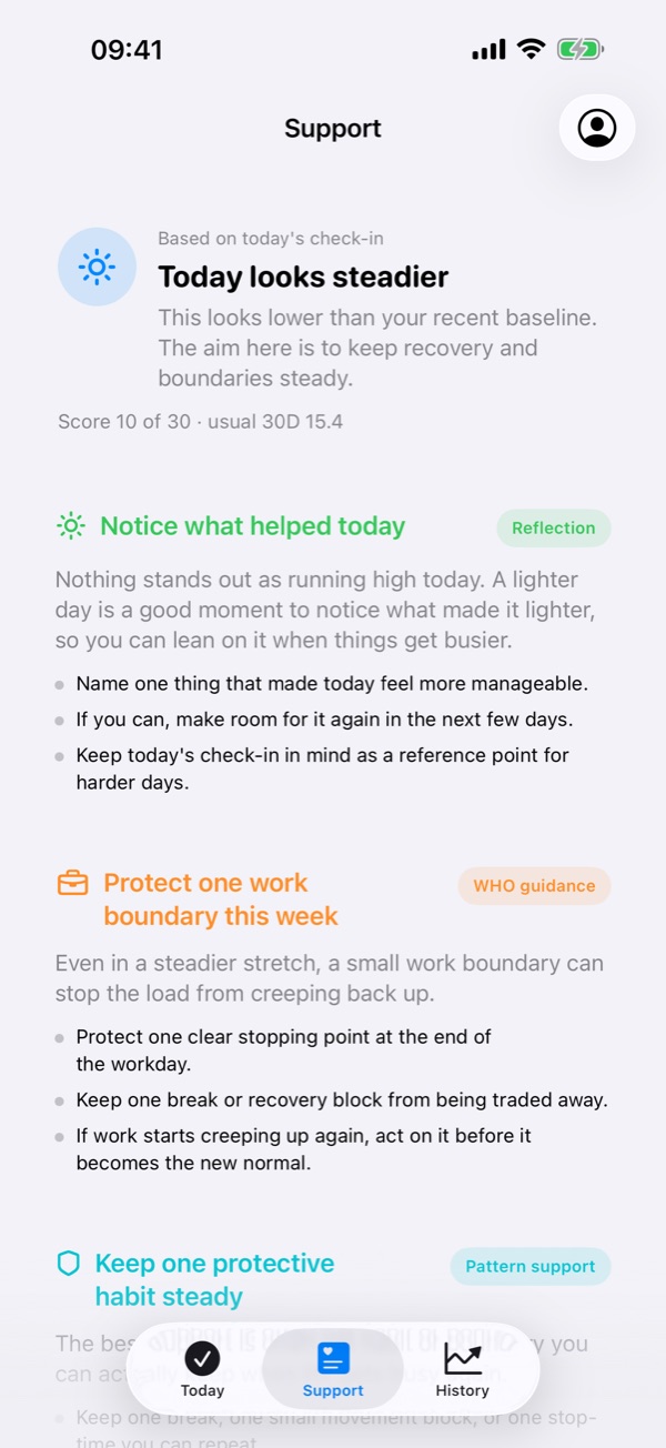 The Support tab: today looks steadier, with suggestions to notice what helped and to protect one work boundary.